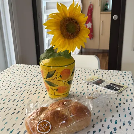 Mobil'home A Les Mauxfaits * Moutiers-les-Mauxfaits